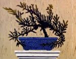 <font size=4>Bonsai</font>