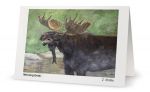 ART CARD