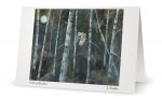ART CARD