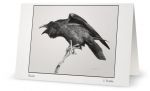 ART CARD